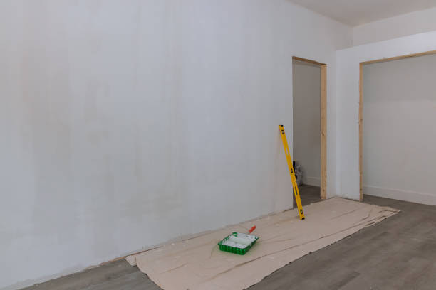 Best Water Damage & Mold Remediation  in Salem, SD