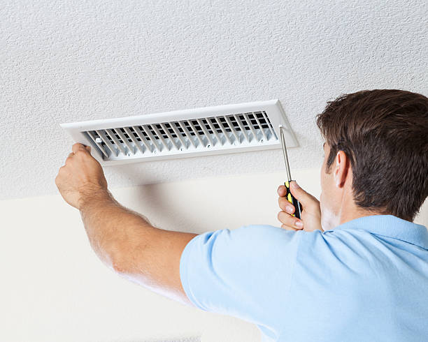 Best Basement Mold Removal  in Salem, SD